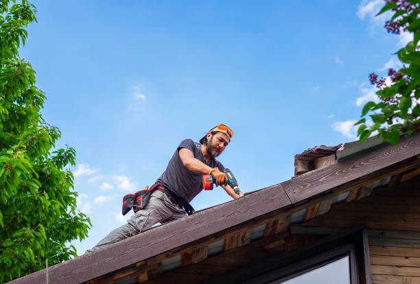 Best Roof Moss and Algae Removal  in Clinton, AR